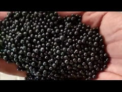 Organik gübre üretim hattı